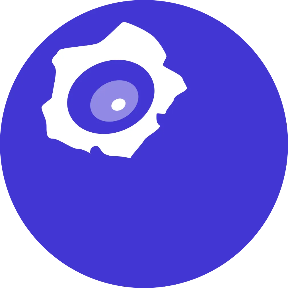 Blueberry illustration