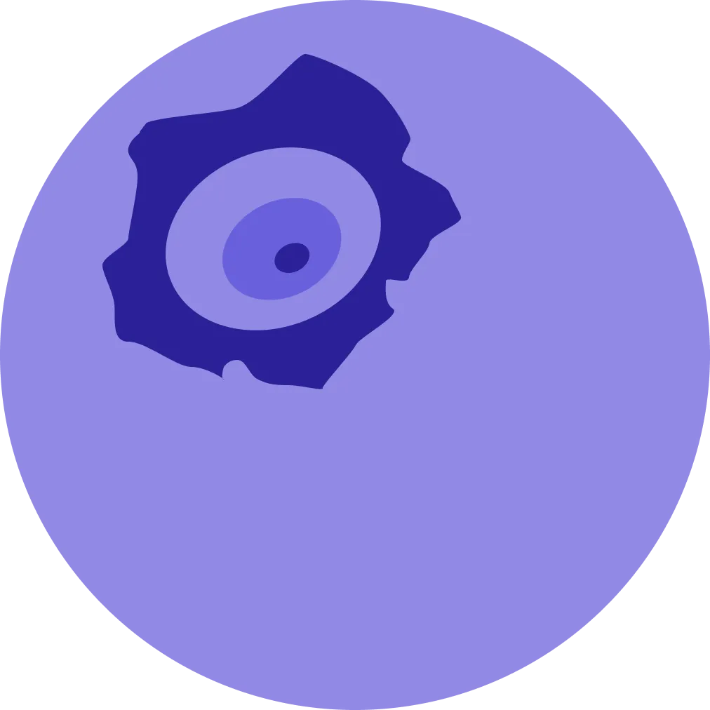 Blueberry2